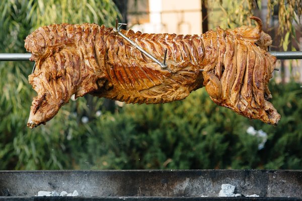 Comment fabriquer facilement un tourne-broche maison ?